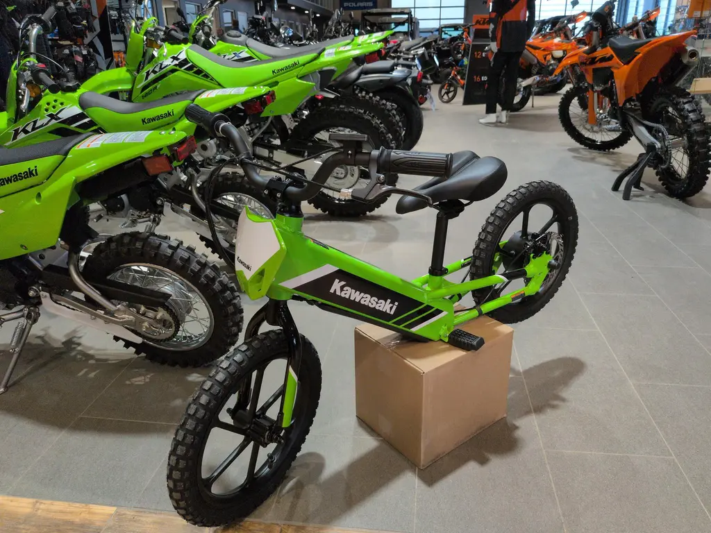 2025 Kawasaki Electrode 16 