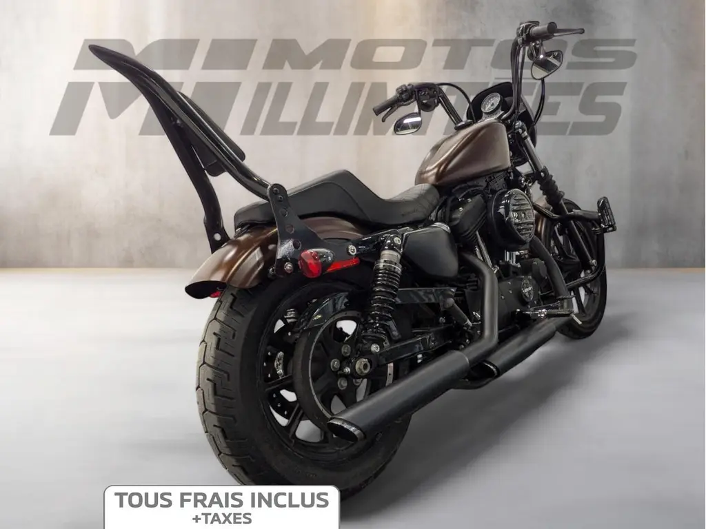 2019 Harley-Davidson XL1200NS Sportster Iron