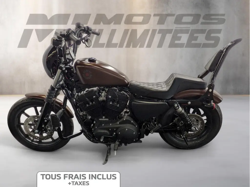2019 Harley-Davidson XL1200NS Sportster Iron