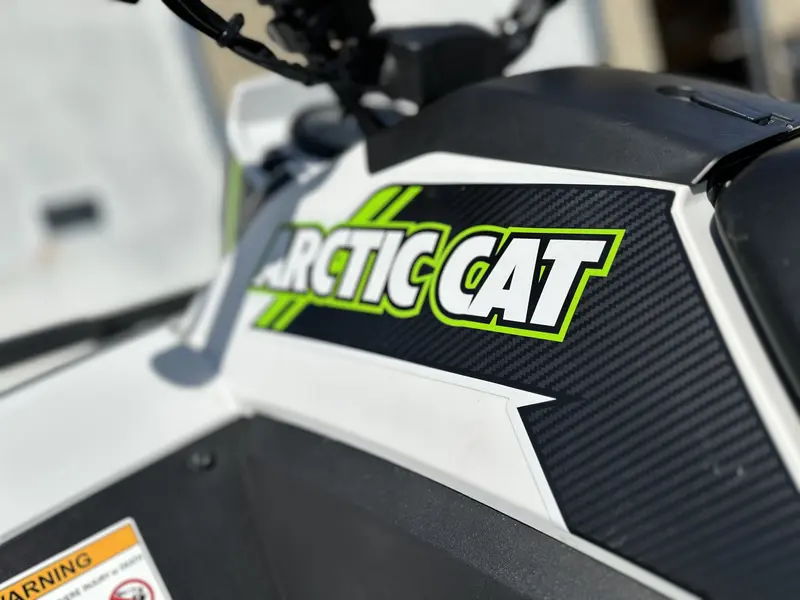 2022 Arctic Cat ALTERRA 600 LTD