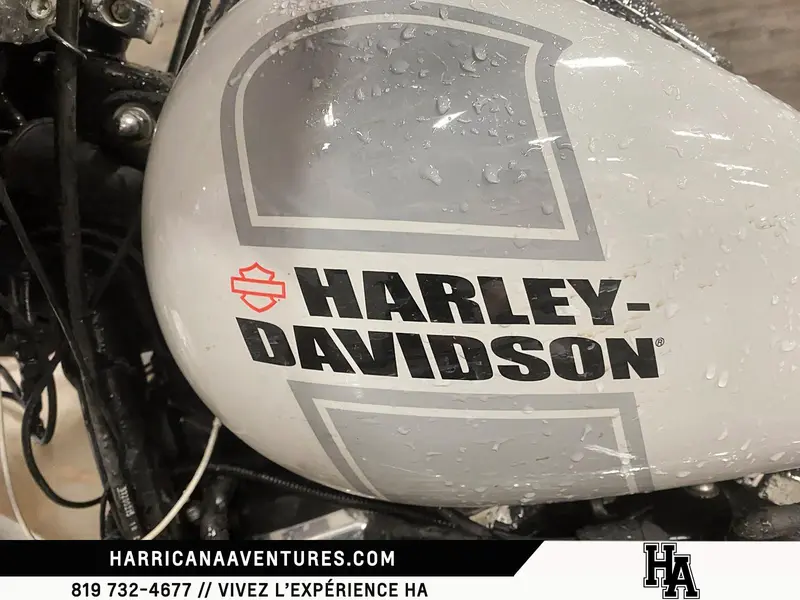2021 harley-davidson Sport Glide FLSB