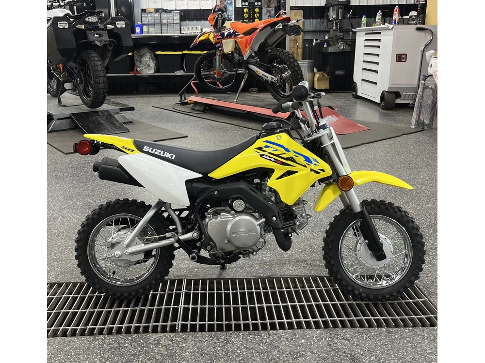 2025 Suzuki Dr-z50 alt