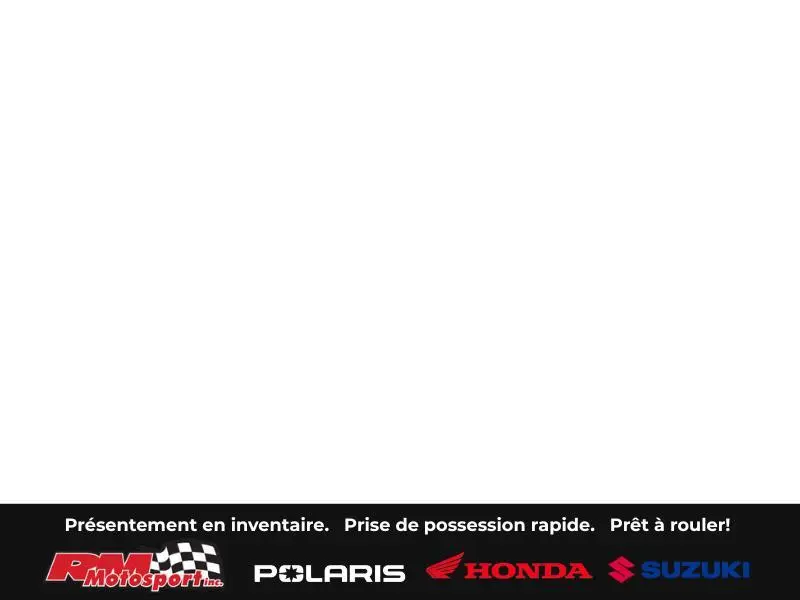 2025 Honda Génératrice Eb10000 alt