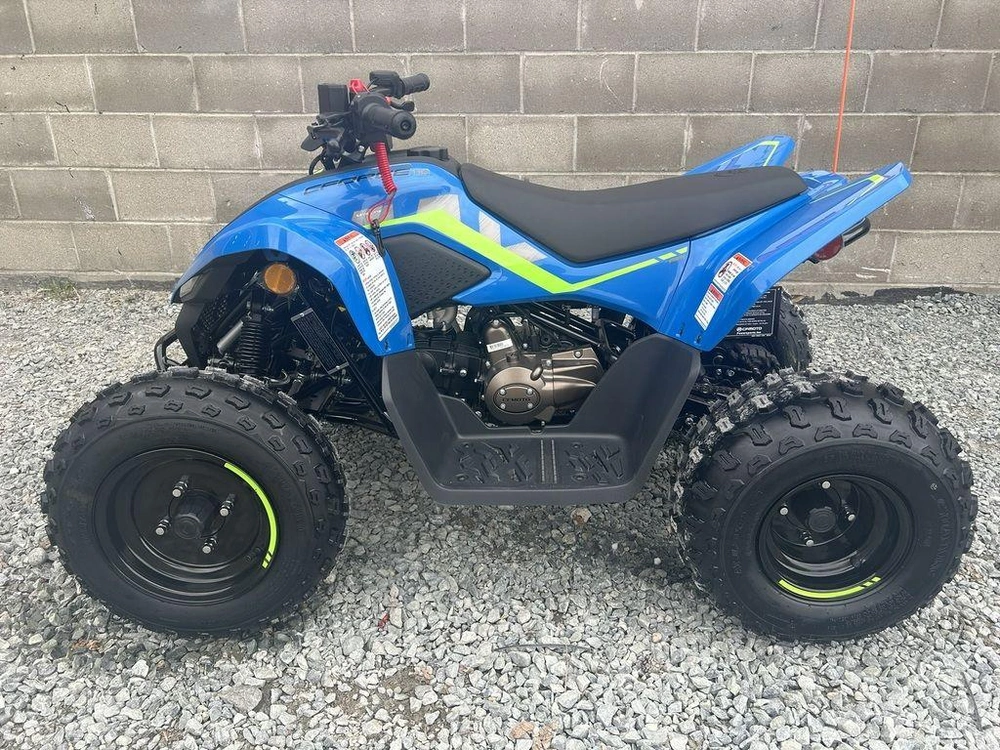 2025 Cfmoto Cforce 110 alt