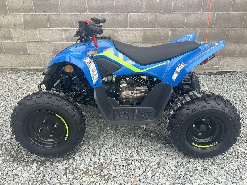 2025 CFMOTO CForce 110