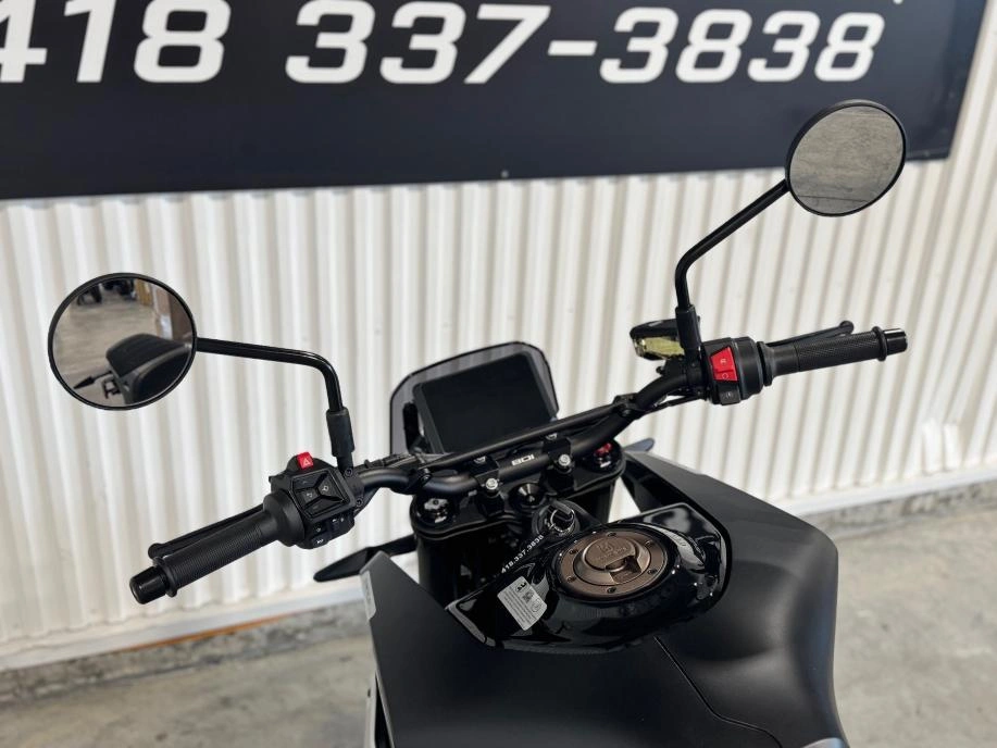 Husqvarna Svartpilen 801 2025 alt