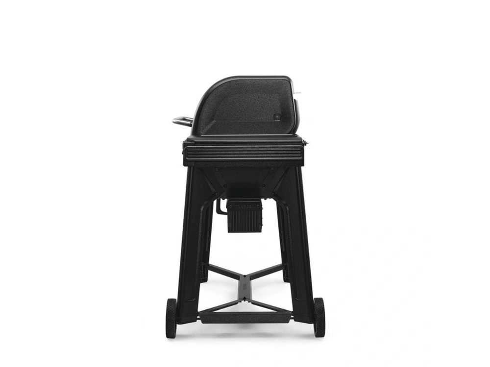 2025 Traeger Woodridge alt