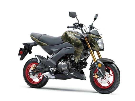 2025 Kawasaki Z125 Pro alt