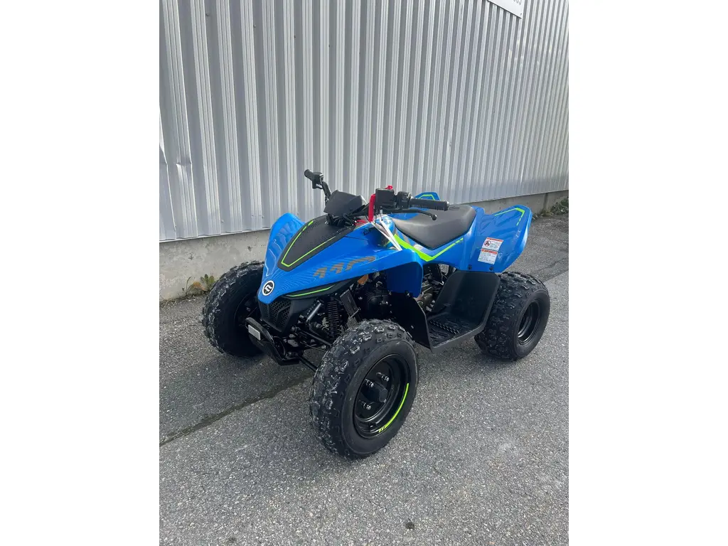 2025 CFMOTO CFORCE 110 CLASSIC 