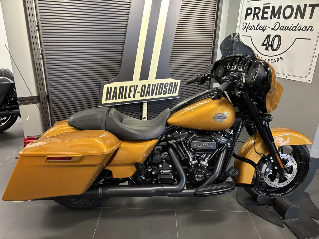 Harley-Davidson FLHXS Street Glide Special 2023 - FLHXS