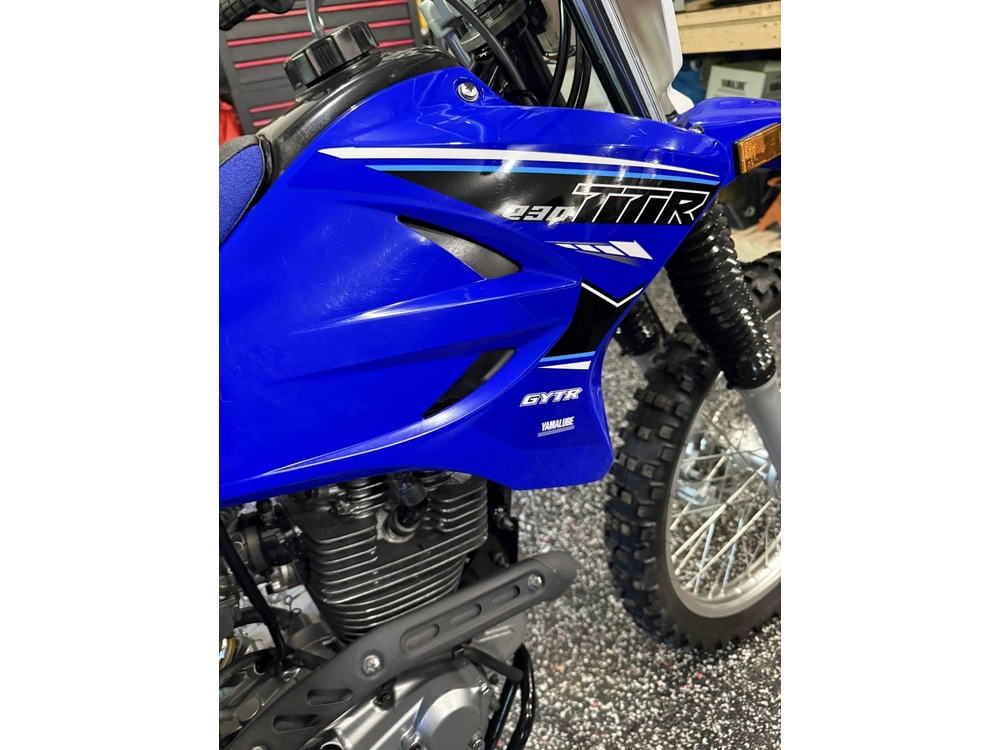 2021 Yamaha Ttr230 alt