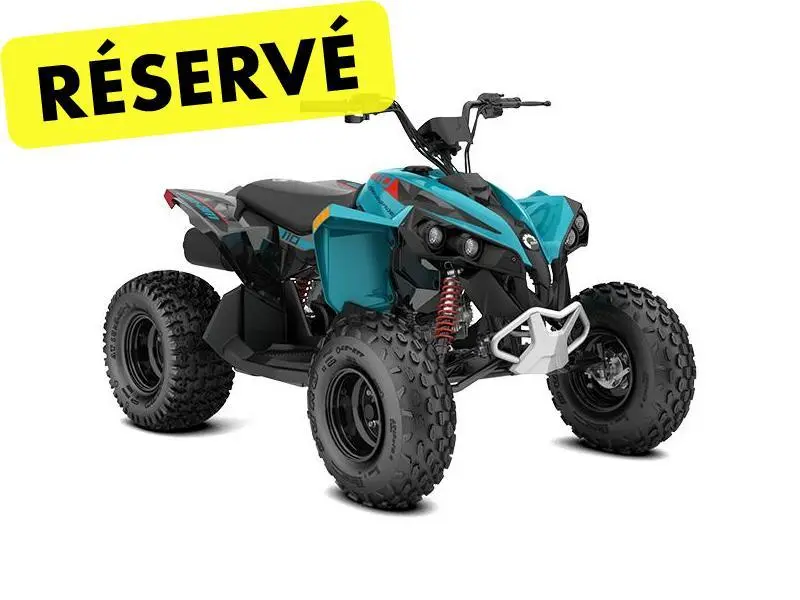 Can-Am Renegade 110 EFI 2025