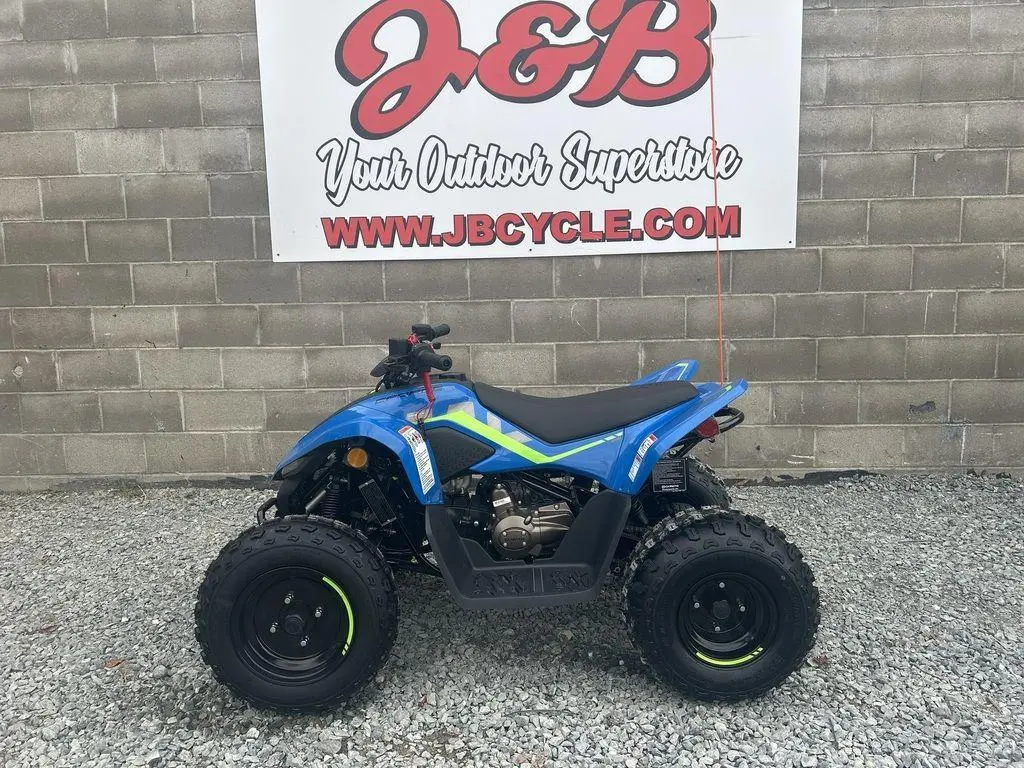 2025 CFMOTO CForce 110 
