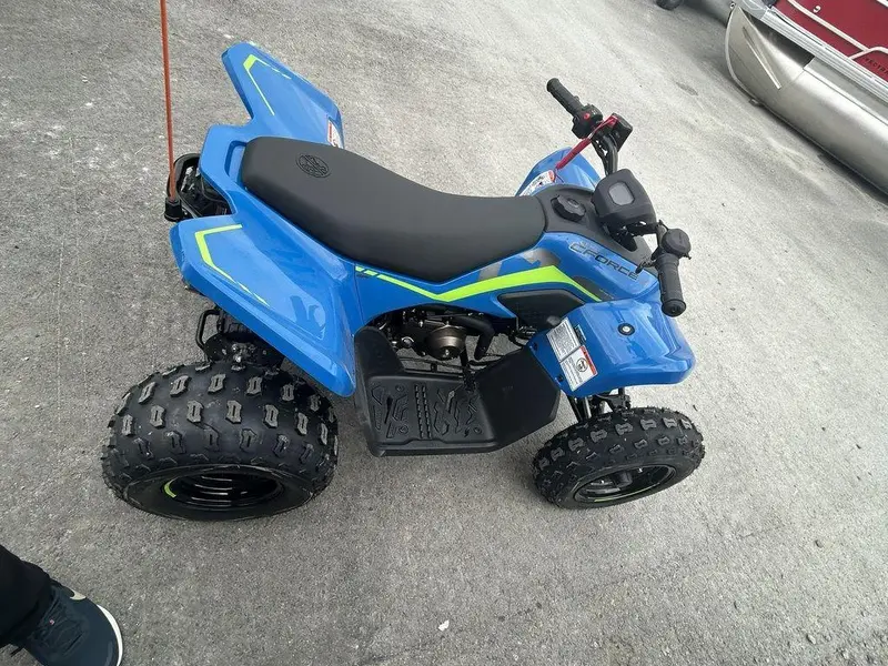 2025 CFMOTO CForce 110