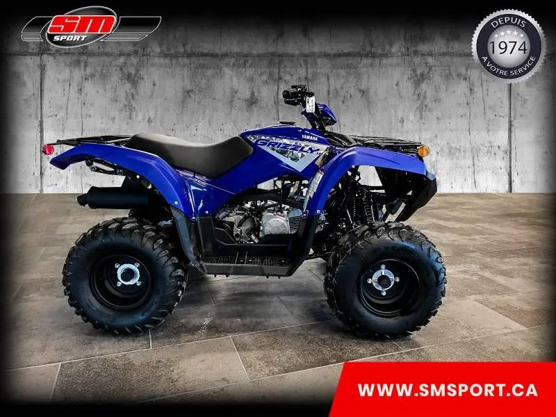 2025 Yamaha Grizzly 110