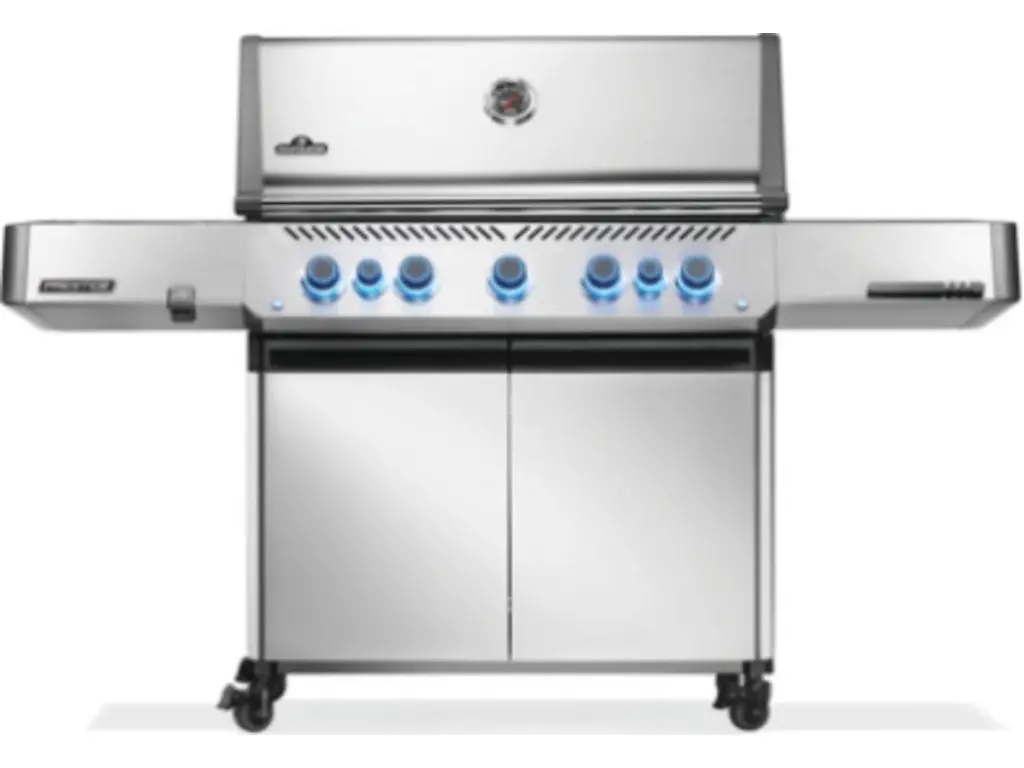 2025 Napoleon PRESTIGE 665 RSIB PROPANE 
