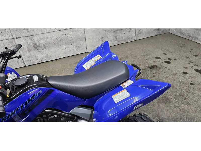2025 Yamaha RAPTOR 110
