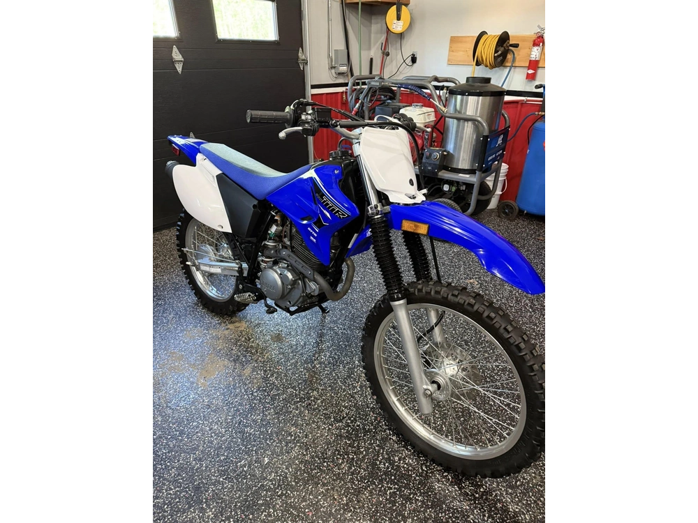 2021 Yamaha Ttr230 alt