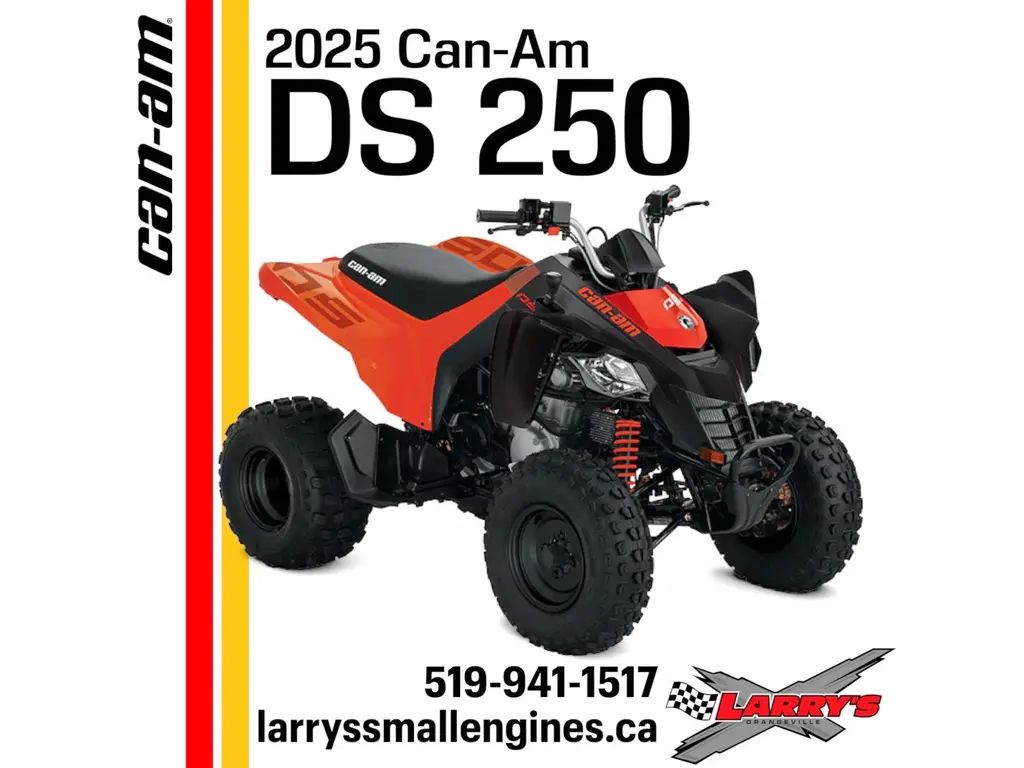 2025 Can-Am DS 250 3JSA