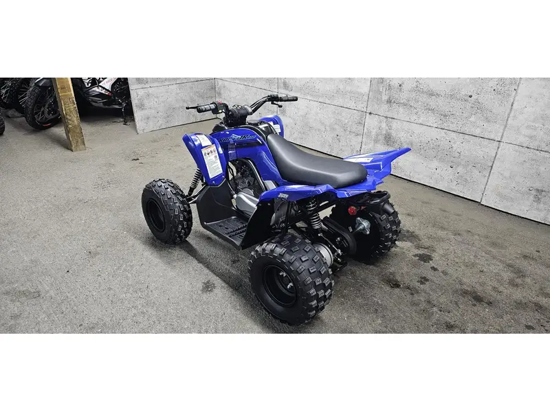 2025 Yamaha RAPTOR 110