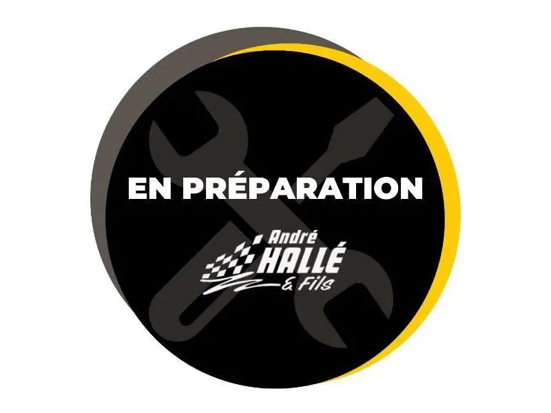 Ski-Doo EXPEDITION LE 900ACE 2018