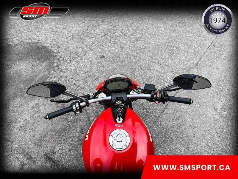 Ducati Monster 797 2019 alt