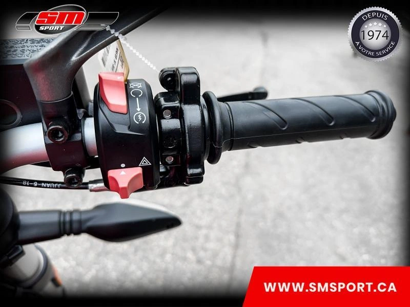 Ducati Monster 797 2019 alt