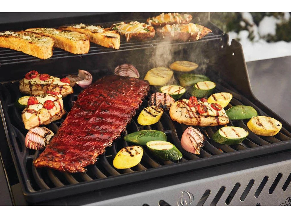 2025 Napoleon Freestyle 365 Propane alt