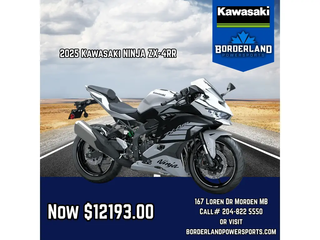 2025 Kawasaki NINJA ZX-4RR - Metallic Matte Whitish Silver-63V 