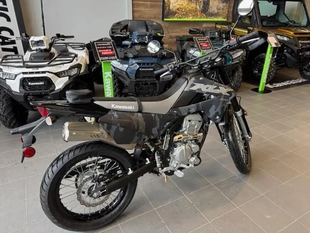 2024 Kawasaki KLX300 DOUBLE USAGE