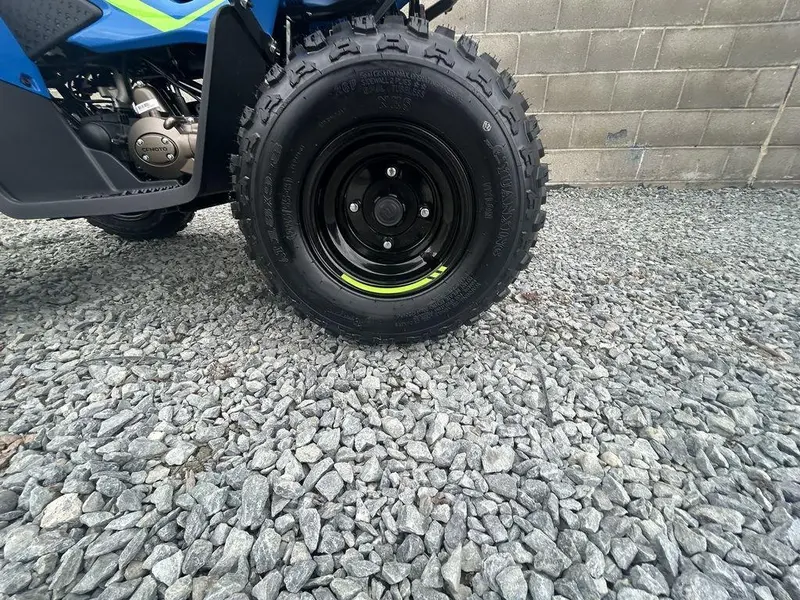 2025 CFMOTO CForce 110