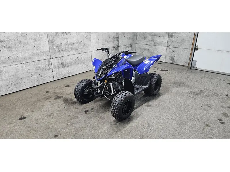2025 Yamaha RAPTOR 110