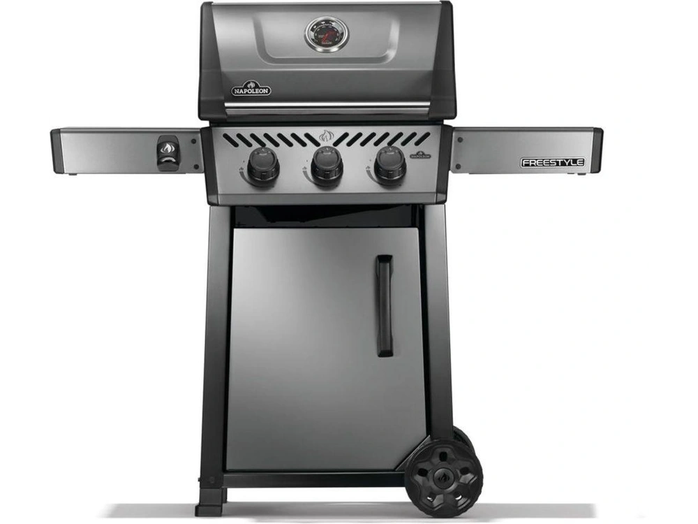 2025 Napoleon Freestyle 365 Propane alt