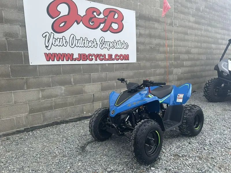 2025 CFMOTO CForce 110