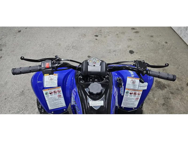 2025 Yamaha RAPTOR 110