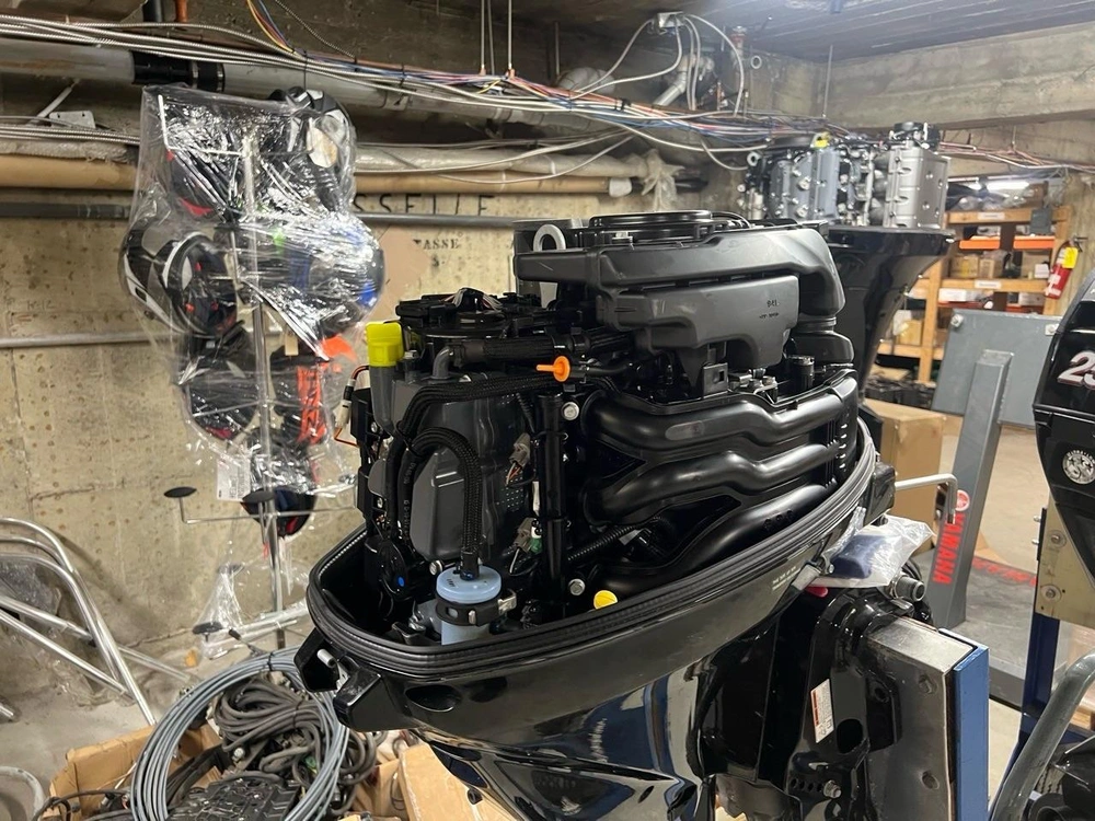 Suzuki Df25atl 2022 alt