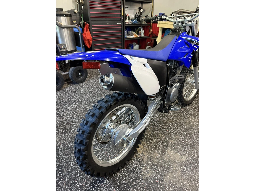 2021 Yamaha Ttr230 alt