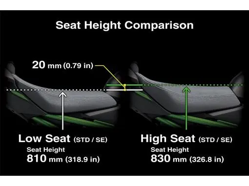 2025 Kawasaki Z900 SE