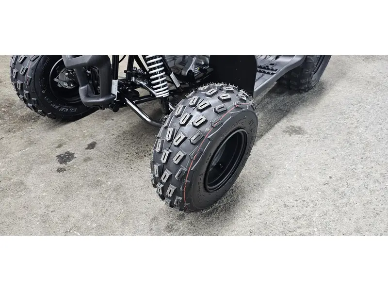 2025 Yamaha RAPTOR 110