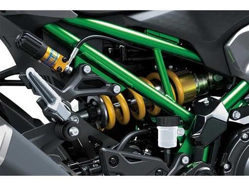 Kawasaki Z900 Se 2025 alt