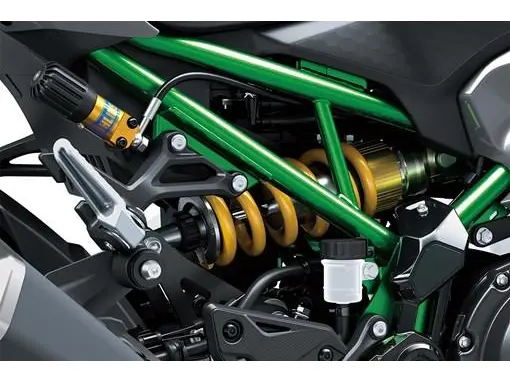 2025 Kawasaki Z900 SE