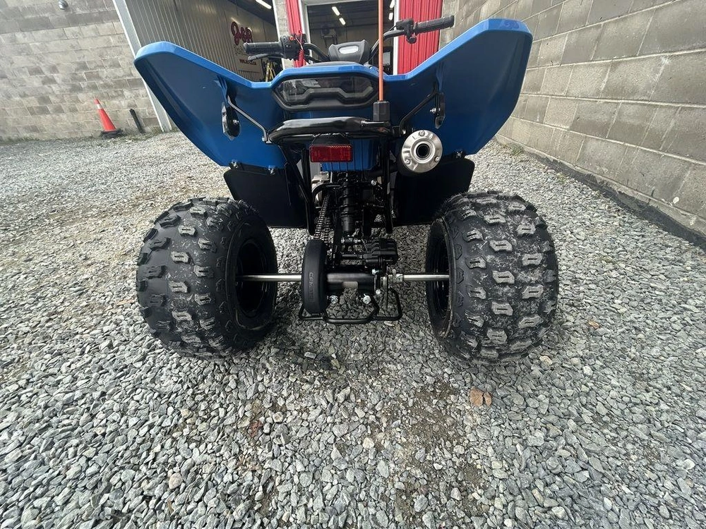 2025 Cfmoto Cforce 110 alt