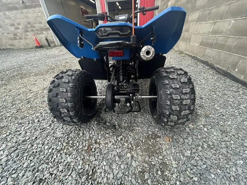 2025 CFMOTO CForce 110