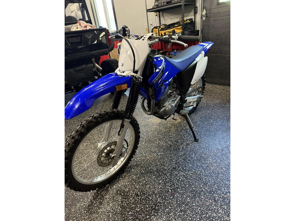 2021 Yamaha Ttr230 alt