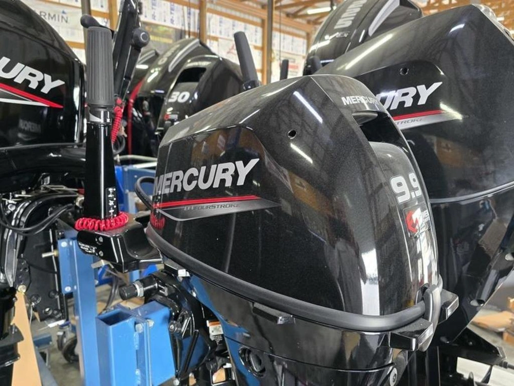 2025 Mercury Fourstroke 9.9 Hp alt