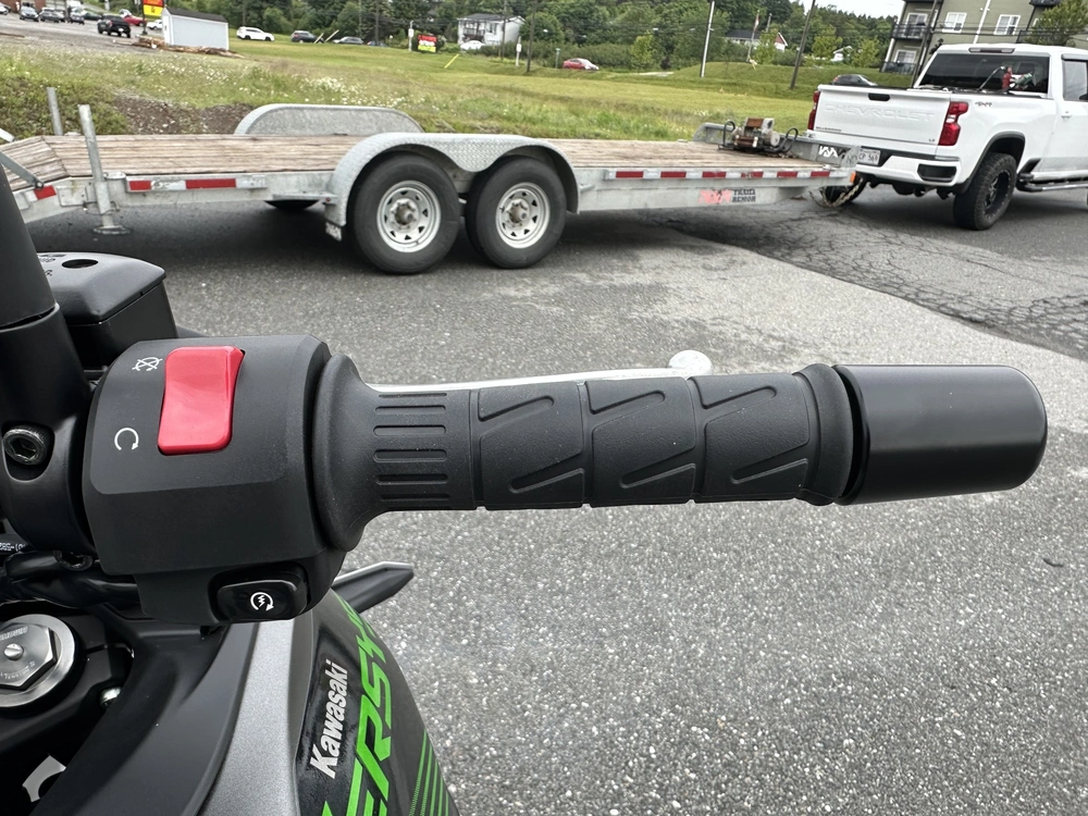 2025 Kawasaki Versys 650 Lt alt