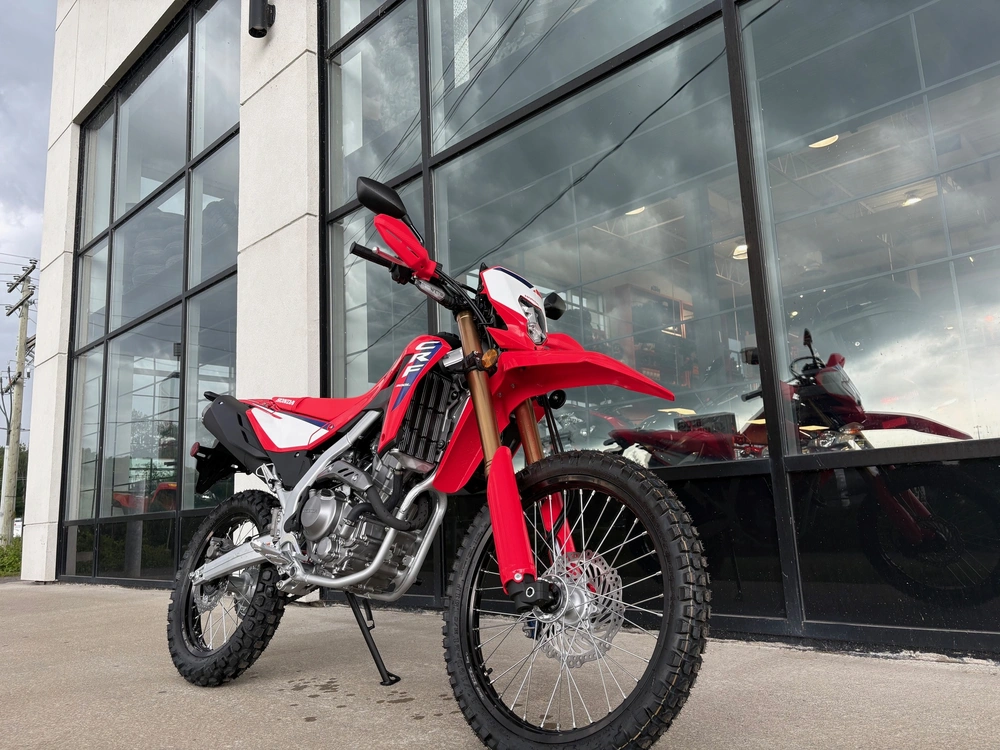 2025 Honda Crf 300l Abs alt