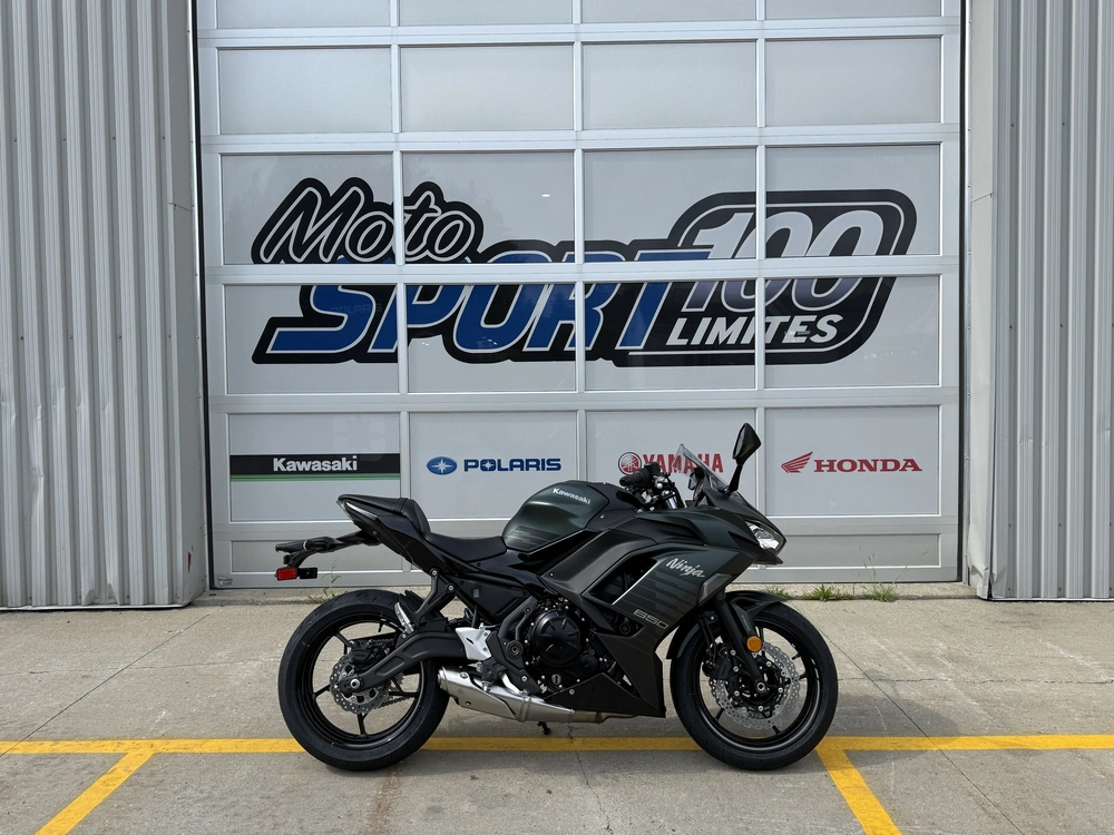 2025 Kawasaki Ninja 650 Abs alt