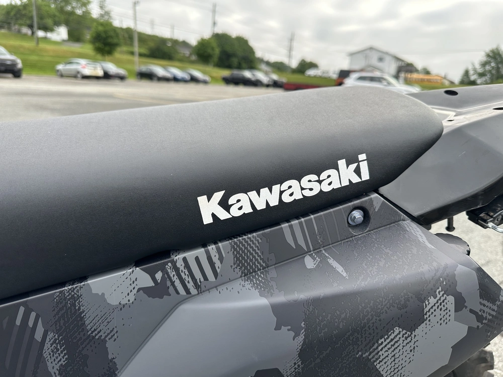 2023 Kawasaki Klx 300 alt
