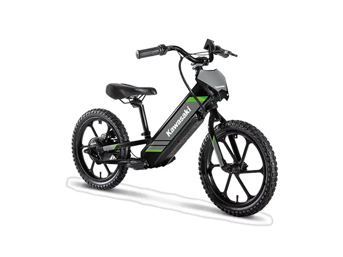 2025 Kawasaki electrode 16